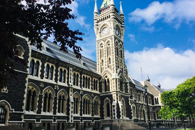 Dunedin City Highlights, Otago Peninsula Scenery & Albatross Guided Tour - Royal Albatross Centre: your guided hour with nesting birds