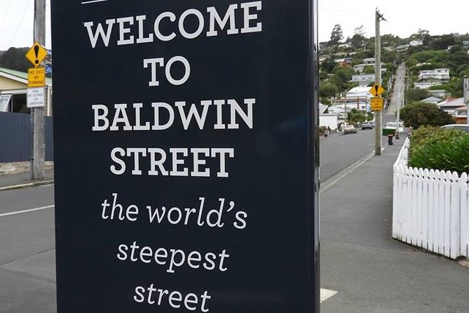 Dunedin City Highlights, Otago Peninsula Scenery & Albatross Guided Tour - Baldwin Street: a short stop with a big payoff