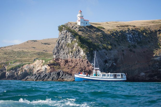 Dunedin City to Sea Wildlife Cruise + Peninsula Bus Tour - Otago Harbour cruise, close to landmarks and seabirds