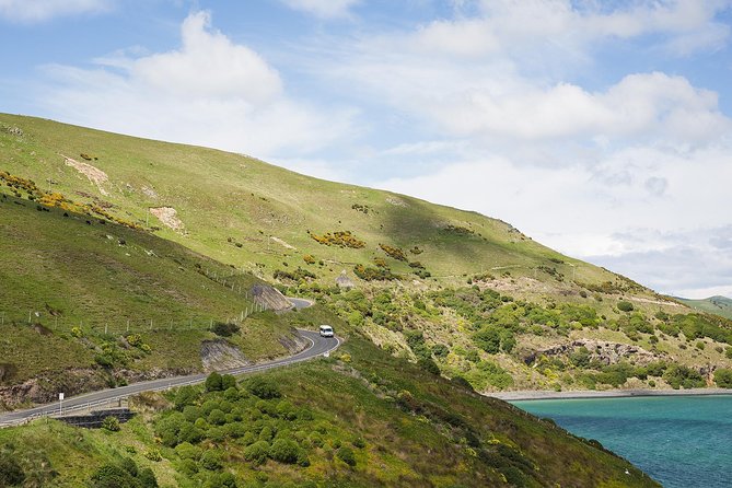 Dunedin City to Sea Wildlife Cruise + Peninsula Bus Tour - Taiaroa Head: the lighthouse viewpoint and mainland albatross colony