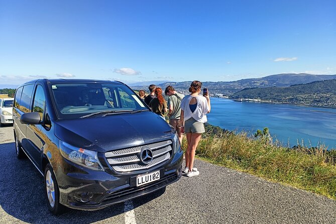Dunedin City, Wildlife and Larnach Castle - Taiaroa Head and the albatross and penguin area: manage expectations, not enthusiasm