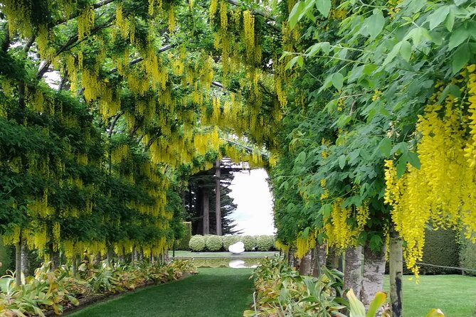 Dunedin City, Wildlife and Larnach Castle - FAQ