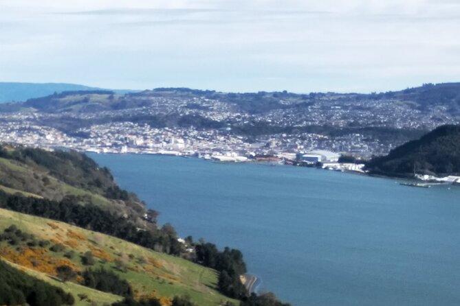 Dunedin City, Wildlife and Larnach Castle - Larnach Castle and Gardens: your main indoor-and-outdoor break