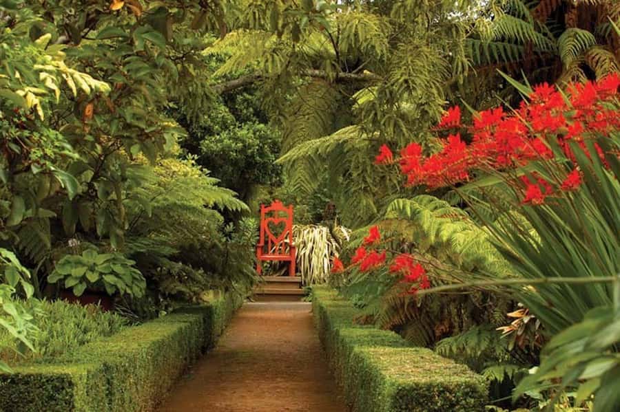 Dunedin: Larnach Castle & Gardens Admission Ticket - Why Larnach Castle Feels Different Than a Typical House Museum