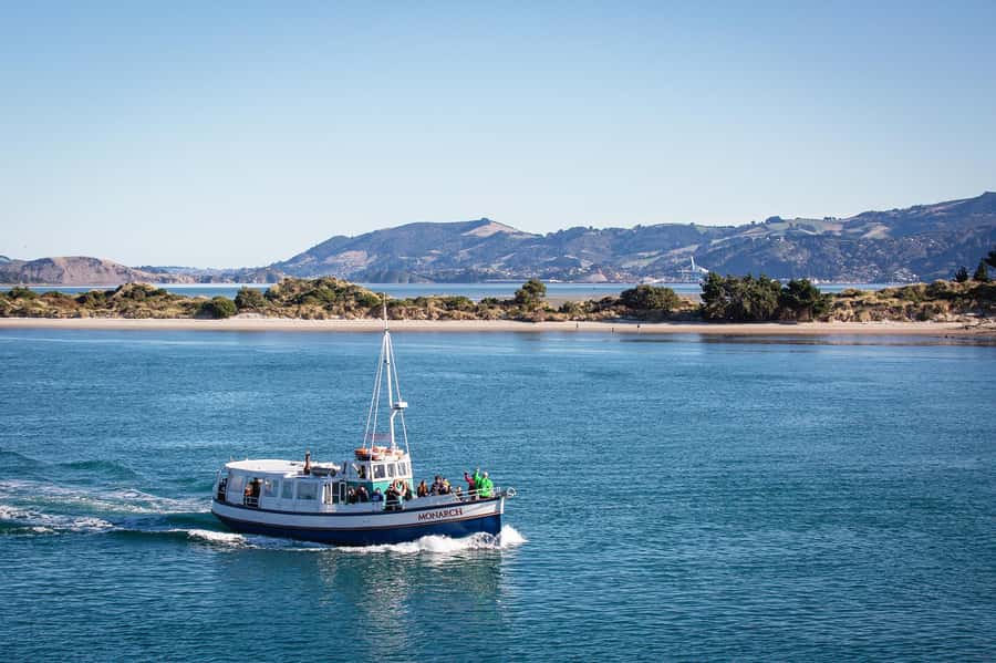 Dunedin: Monarch - One Hour Wildlife Cruise - Getting to Wellers Rock Wharf, and planning for that southerly wind