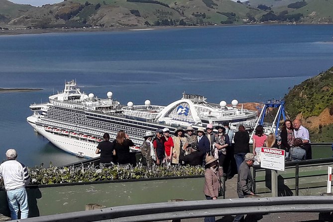 Dunedin Nature & City Tour – Full Day Cruise Excursion - Key highlights