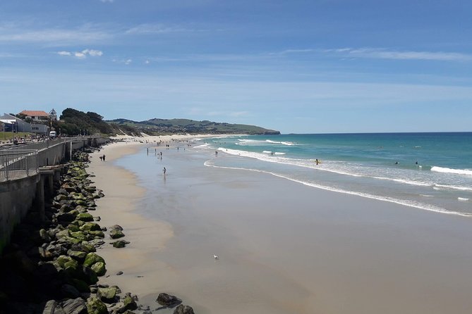Dunedin Nature & City Tour – Full Day Cruise Excursion - Port Chalmers to Dunedin, the fast route to your bearings