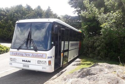 Dunedin Nature & City Tour – Full Day Cruise Excursion
