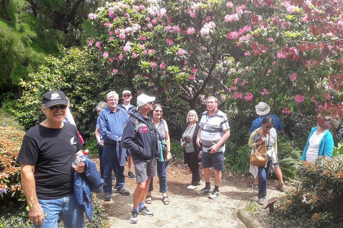 Dunedin Nature & City Tour – Full Day Cruise Excursion - Dunedin Railway Station: a photo stop that adds character