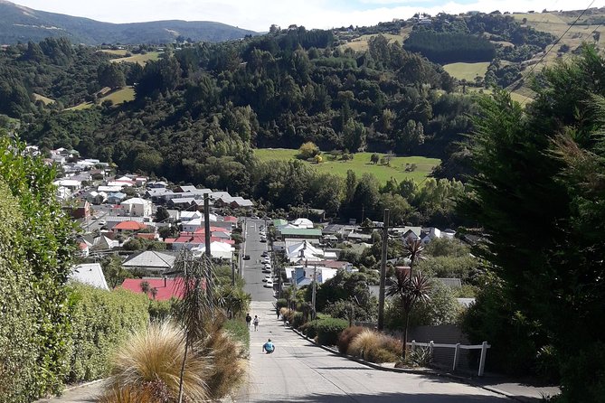 Dunedin Nature & City Tour – Full Day Cruise Excursion - Baldwin Street: the steepest street moment (walk optional)
