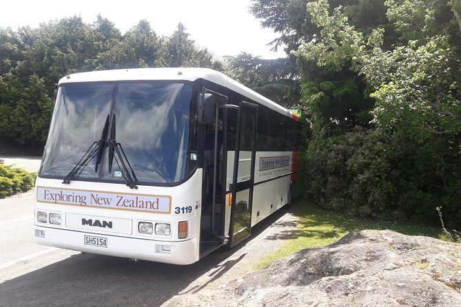Dunedin Nature & City Tour – Full Day Cruise Excursion - Octagon orientation: where Dunedin shows you its center