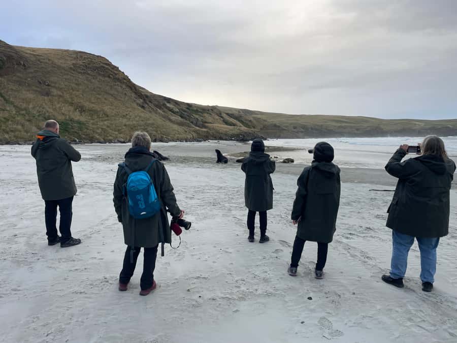 Dunedin: Otago Peninsula Clearwater Wildlife Tour - What the 4 hours feels like, step by step