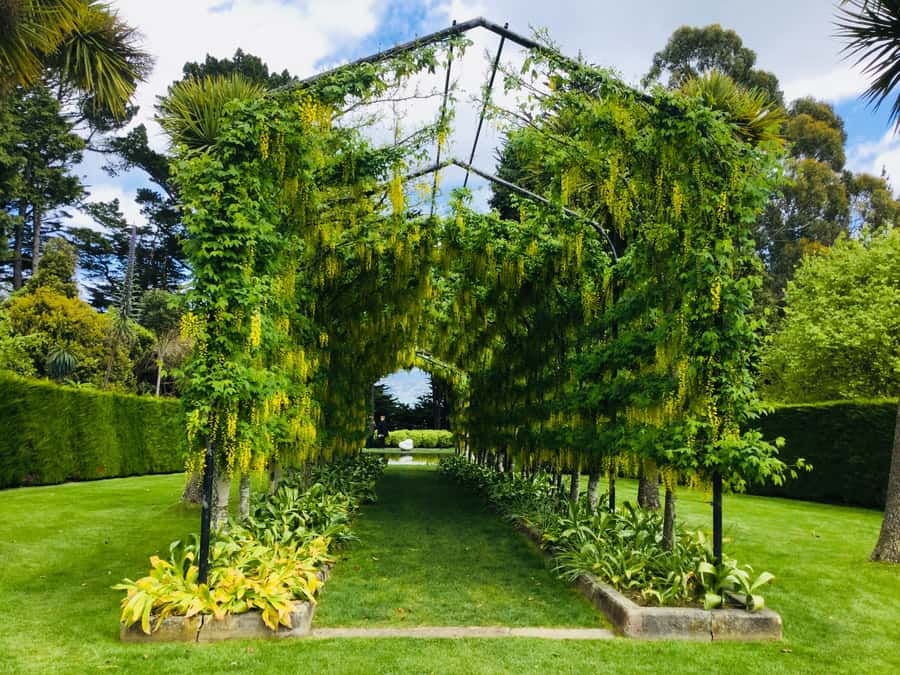 Dunedin: Peninsula with Lanarch Castle gardens & Olveston - Key highlights you will care about