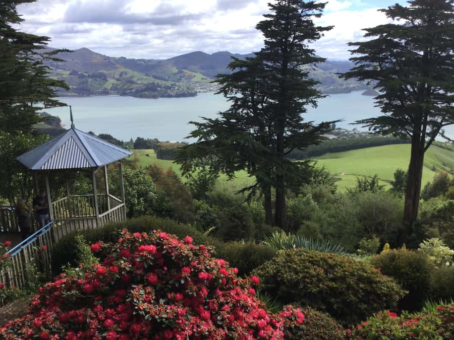 Dunedin: Peninsula with Lanarch Castle gardens & Olveston - World’s steepest street and Upper Botanic Garden lookouts