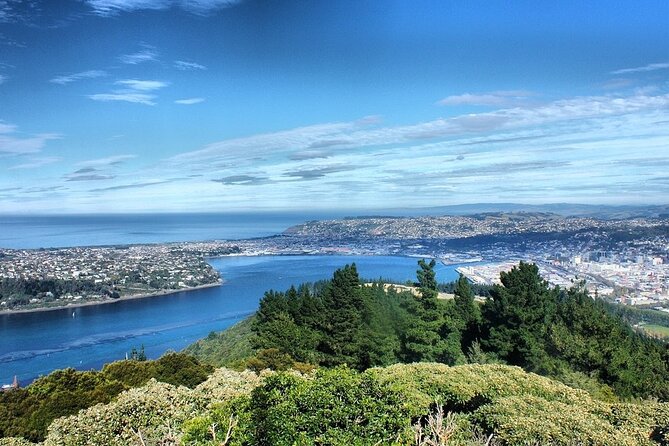 Dunedin Private Fullday Tour - St Clair Beach for a quick coastal reset