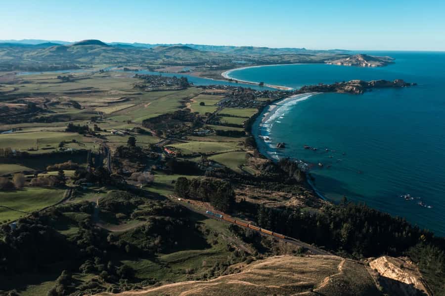Dunedin: Scenic Railway Tour of Otago's Coastline - Key highlights you will feel on board