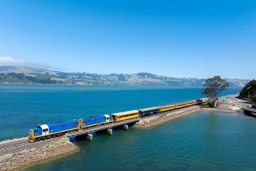 Dunedin: Scenic Railway Tour of Otago's Coastline - Mihiwaka Tunnel: one of New Zealand’s longest tunnel rides