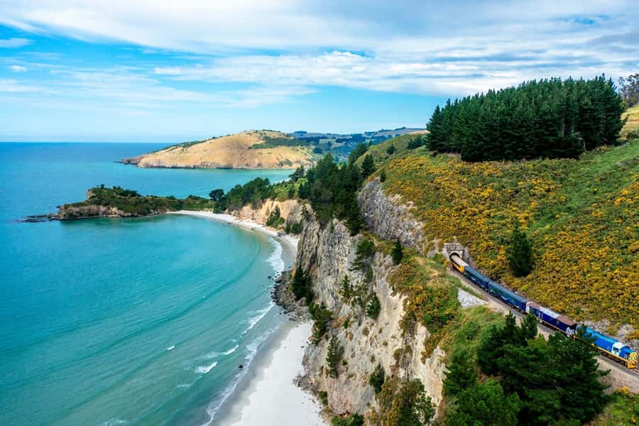 Dunedin: Scenic Railway Tour of Otago's Coastline - Price, value, and timing for a 210-minute coastal rail day