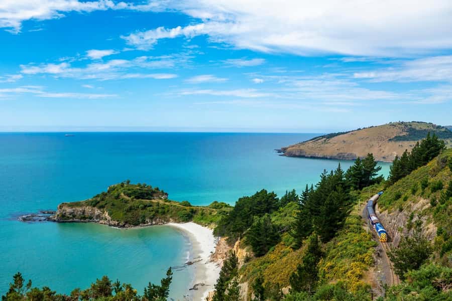 Dunedin: Scenic Railway Tour of Otago's Coastline - Before you go: what to wear, parking, and getting to the station