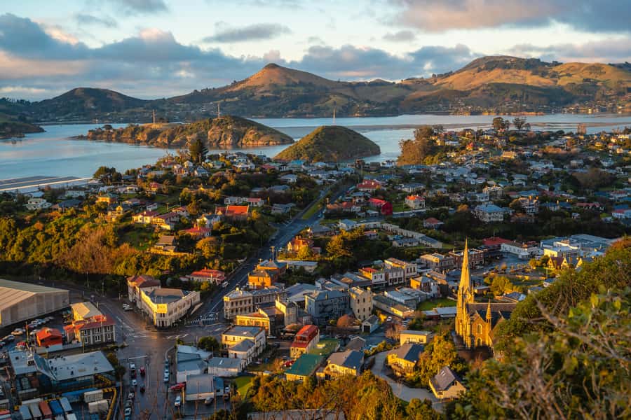 Dunedin: Scenic Railway Tour of Otago's Coastline - Should you book The Seasider in Dunedin?