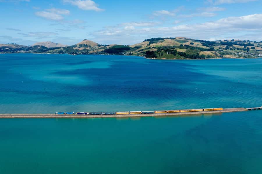 Dunedin: Scenic Railway Tour of Otago's Coastline - From Deborah Bay to Pūrākaunui Beach: the coast you can watch all day