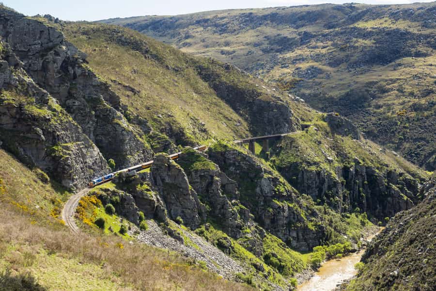 Dunedin: Scenic Railway Tour Through the Taieri Gorge - Price and Value: Does $95 Make Sense?