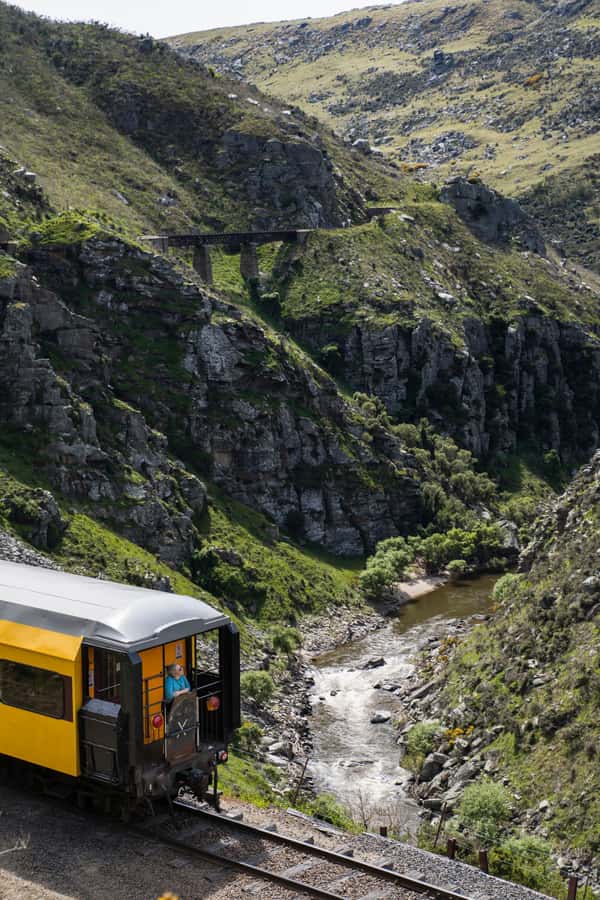 Dunedin: Scenic Railway Tour Through the Taieri Gorge - Who This Train Ride Is Perfect For