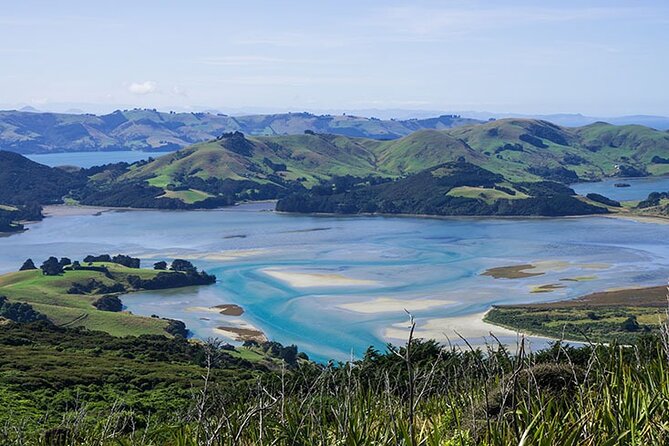 Dunedin Shore Excursion City Sightseeing & Tour of Larnach Castle - Your hour in Dunedin city center: lunch, browsing, and quick wins