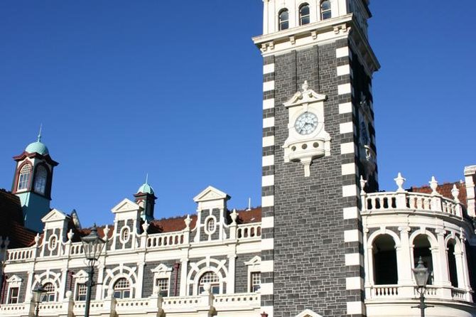 Dunedin Shore Excursion: Small-Group Tour of Dunedin and the Otago Peninsula - Baldwin Street: short stop, big photo payoff