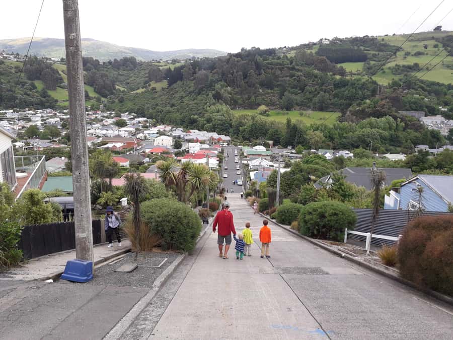Dunedin: Small Group City Highlights Tour - St Paul’s Cathedral, Robbie Burns, and the City Center Vibe
