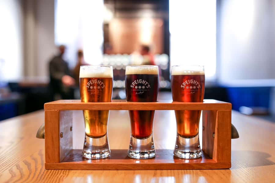 Dunedin: Speight's Brewery Guided Tour with Tasting - Should you book this Speight’s Brewery tour with tasting?