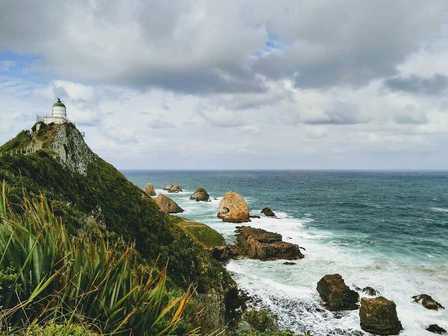 Dunedin to Te Anau via The Catlins & Invercargill 1 Way Tour - Nugget Point Lighthouse: the short walk that earns its postcard status