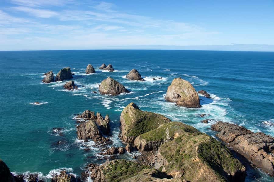 Dunedin to Te Anau via The Catlins & Invercargill 1 Way Tour - Cathedral Caves, tide rules, and how to stay flexible