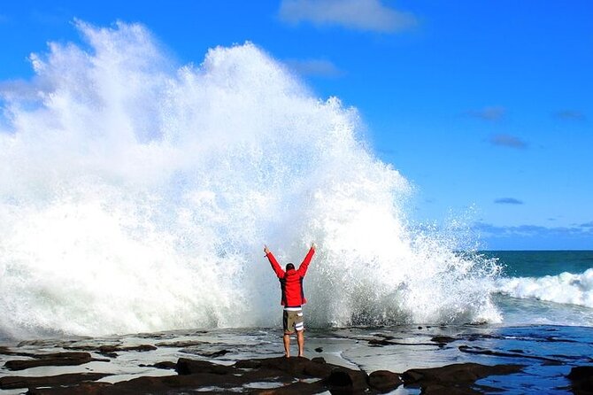Dunedin to Te Anau via the Catlins One Way Small Group Tour - Key things to know before you go