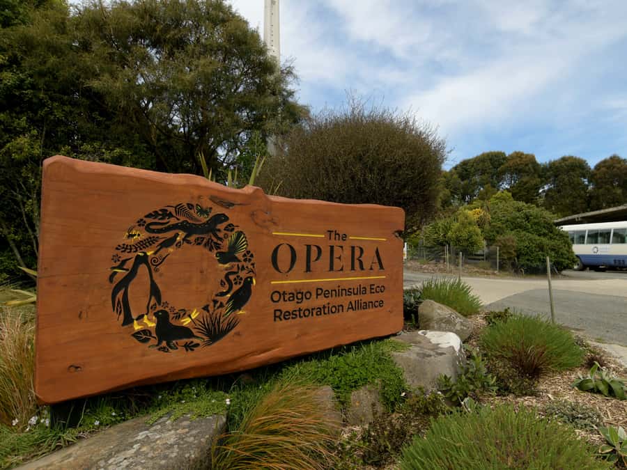 Dunedin: Wildlife and Penguin Tour - The theatre start: learning the penguin story before you step outside