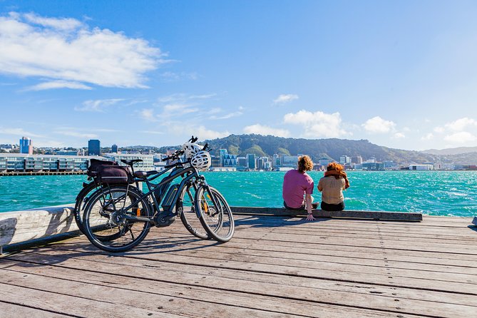 Easy Rider Two-Hour Wellington eBike Tour - Te Papa Museum and Cuba Street area views, without the museum crowds