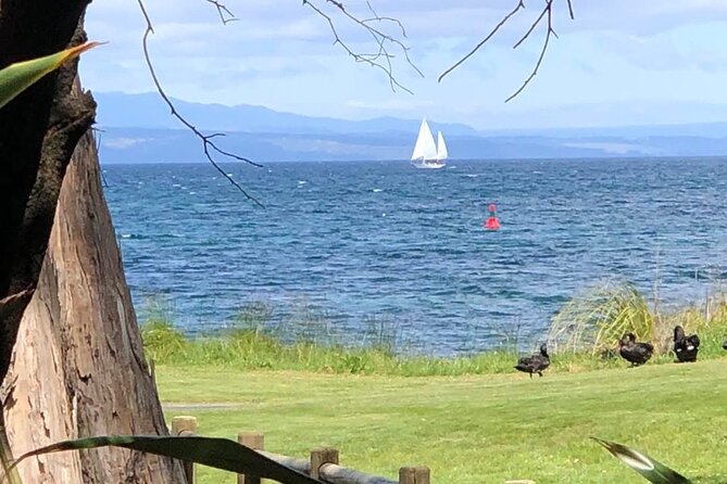Eco Sailing Tour to Maori Rock Carvings on Lake Taupo - Onboard comfort: coffee, warm towels, and a restroom that matters