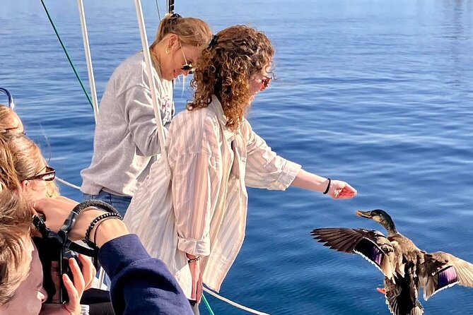Eco Sailing Tour to Maori Rock Carvings on Lake Taupo - BYO picnic mode with Bluetooth sound on board