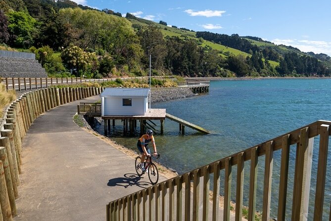 Electric Bike Rental - Why Dunedin on an e-bike feels so easy