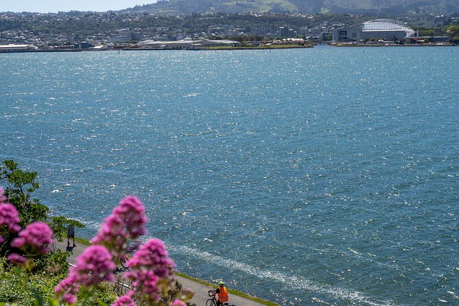 Electric Bike Rental - Out toward the Otago Peninsula roads, plus the High Ridge idea