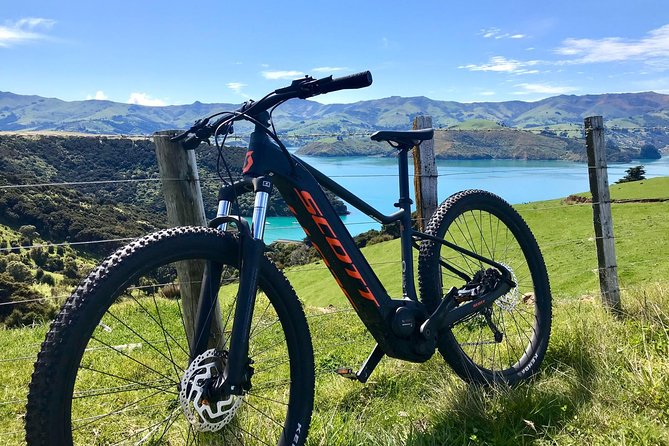 Electric Mountain Bike & Sea Kayak Tour in Akaroa - Price and value: what $176.86 buys you in a 5.5-hour adventure