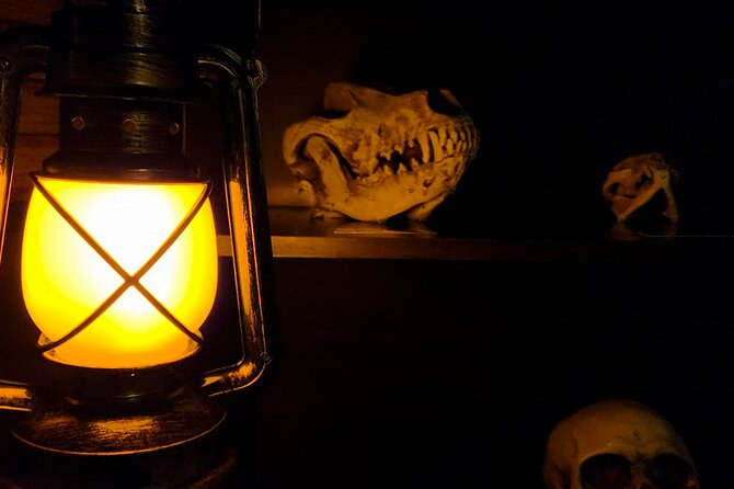 Escape Room Experience Taupo - The Cursed Cabin - Difficulty levels: what Standard 4/5 versus Advanced 5/5 likely means
