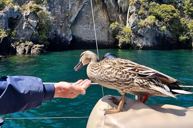 Evening Eco Sailing Adventure to Māori Rock Carvings Lake Taupō - Crew stories that tie Lake Taupō’s volcanic setting to Māori heritage
