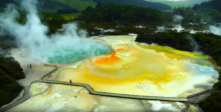 Ex Hamilton: Triple Deal WAI-O-TAPU, Redwood & Blue Springs - Te Waihou Walkway and Blue Springs, the Turquoise-Water Finale