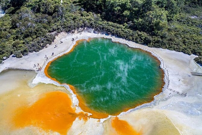 Ex Hamilton: TRIPLE DEAL Wai O Tapu, Redwood Forest & Blue Spring - Key Things You’ll Remember