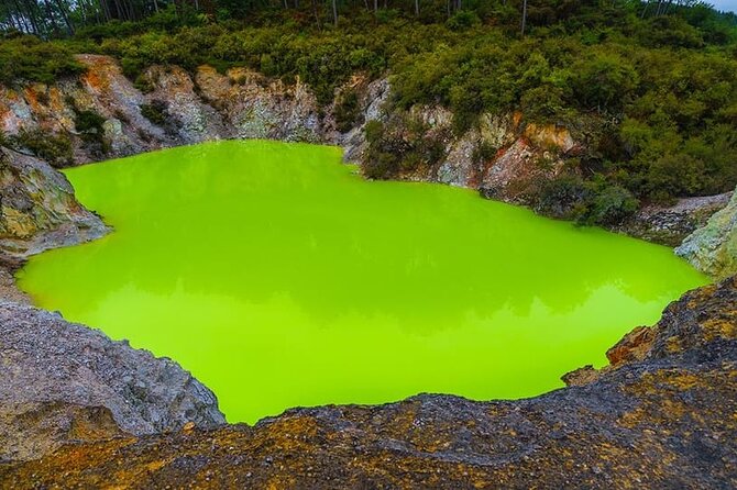 Ex Hamilton: TRIPLE DEAL Wai O Tapu, Redwood Forest & Blue Spring - Price and Logistics: A Full Day That Moves