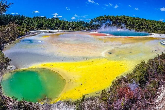 Ex Hamilton: TRIPLE DEAL Wai O Tapu, Redwood Forest & Blue Spring - Lady Knox Geyser at 10:15am: The Timed Highlight