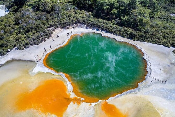 Ex Hamilton: TRIPLE DEAL Wai O Tapu, Redwood Forest & Blue Spring - Whakarewarewa Redwood Forest: Quiet Walking with Big Tree Energy