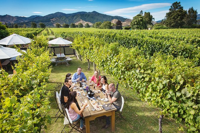 Exclusive Picton Wine & Scenic Adventure: VIP Cruise Experience - Picton i-Site pickup, then a comfortable ride to wine country