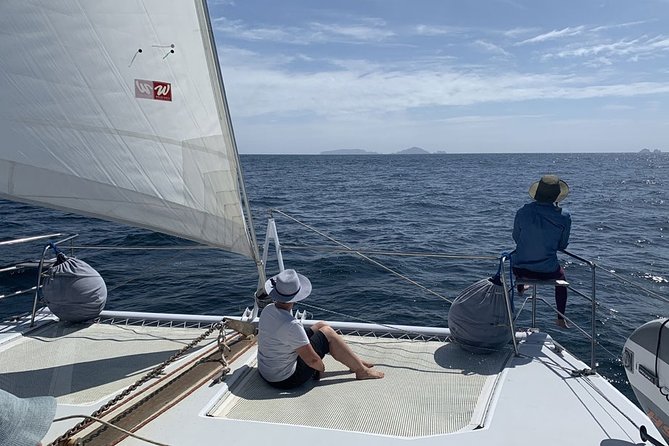 Exclusive Sailing Charter from Waiheke Island - Stop 2 out in the Hauraki Gulf: seabirds, dolphins, and possible whales